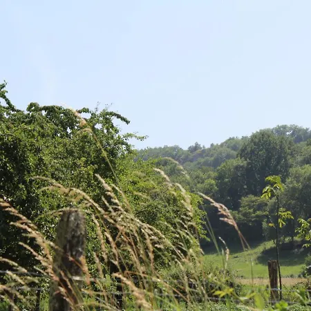 Maison Perigourdine Familiale Proche Sites Prehistoriques - Fr-1-616-291 *