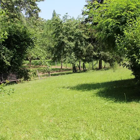 Charmante Maison Perigourdine Avec Jardin Clos, Cheminee Et A Proximite Des Sites Prehistoriques - Fr-1-616-291 *