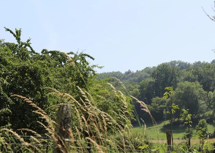 Maison Perigourdine Familiale Proche Sites Prehistoriques - Fr-1-616-291 *